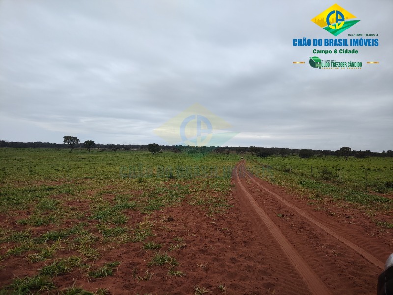 Fazenda à venda com 3 quartos - Foto 57