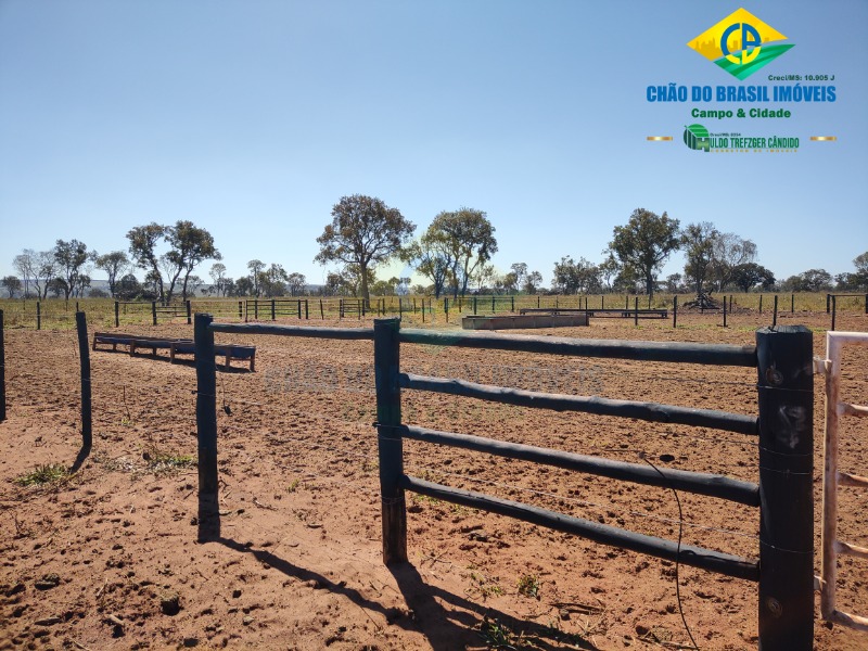 Fazenda à venda com 3 quartos - Foto 28