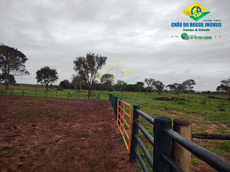 Fazenda à venda com 3 quartos - Foto 58