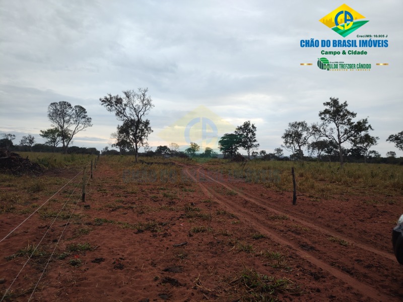 Fazenda à venda com 3 quartos - Foto 37