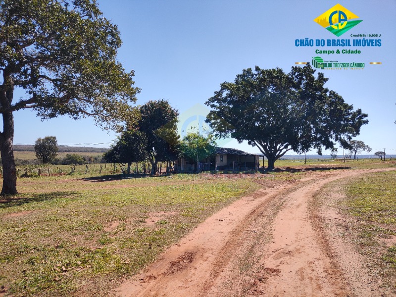 Fazenda à venda com 3 quartos - Foto 52