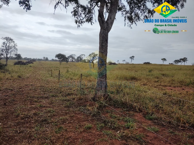 Fazenda à venda com 3 quartos - Foto 63