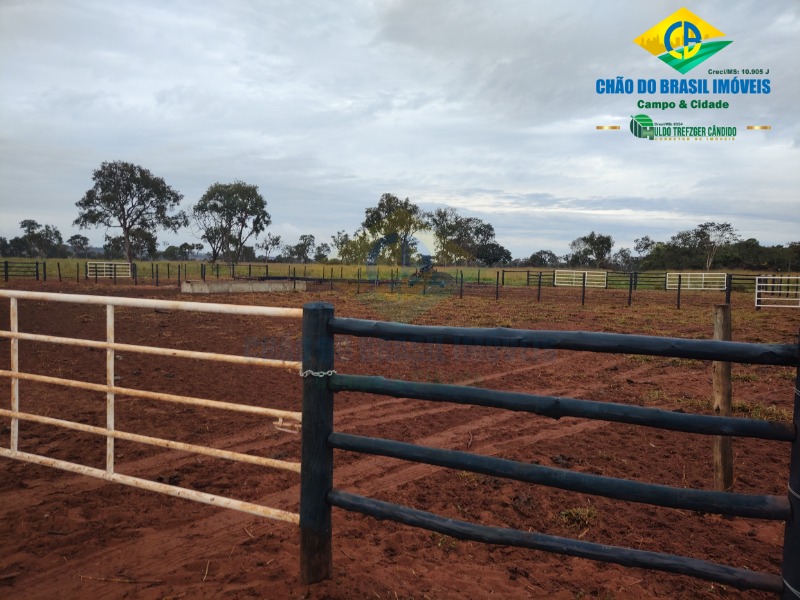 Fazenda à venda com 3 quartos - Foto 36