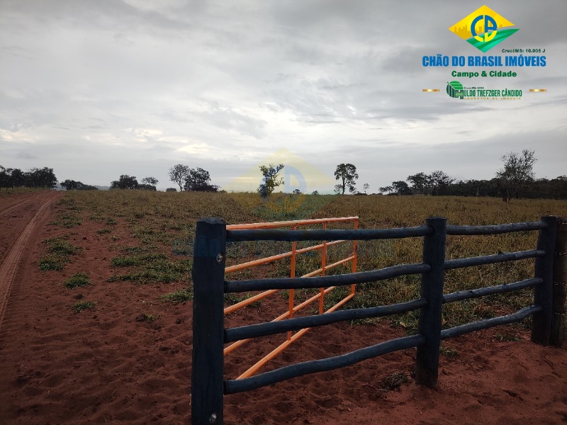 Fazenda à venda com 3 quartos - Foto 55