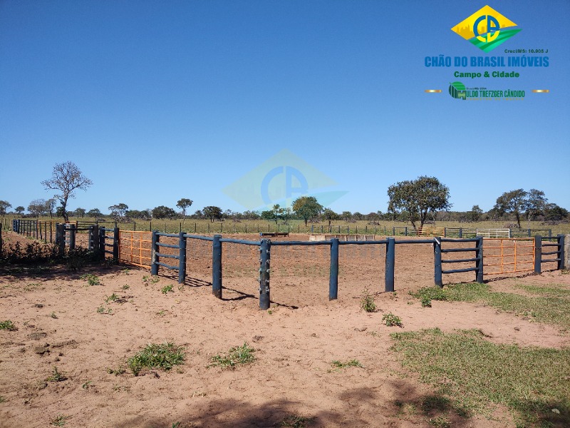 Fazenda à venda com 3 quartos - Foto 71