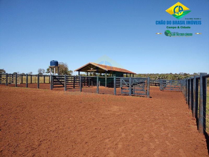 Fazenda à venda com 3 quartos - Foto 42