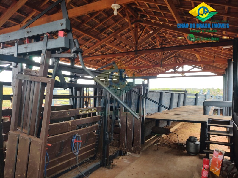 Fazenda à venda com 3 quartos - Foto 46