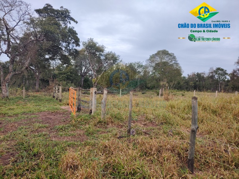 Fazenda à venda com 3 quartos - Foto 61