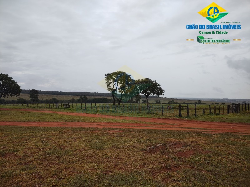 Fazenda à venda com 3 quartos - Foto 38