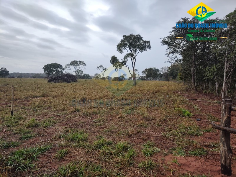 Fazenda à venda com 3 quartos - Foto 32