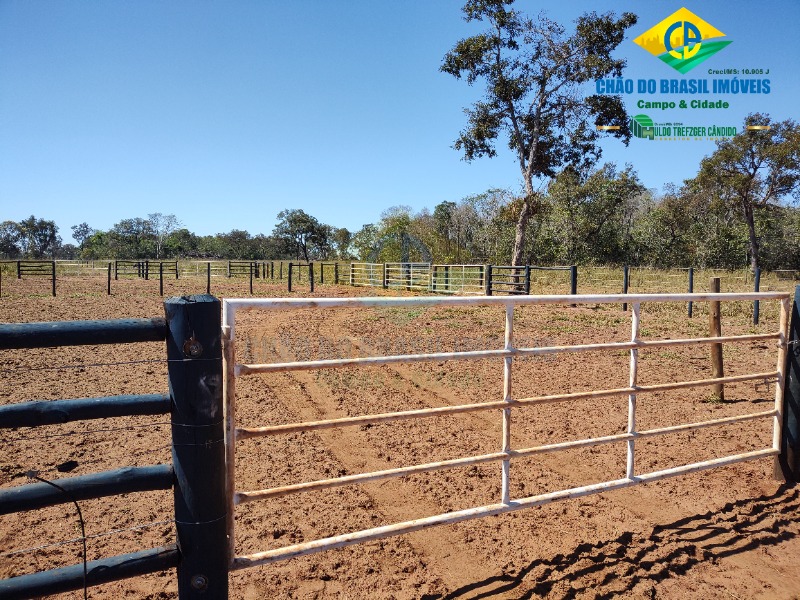 Fazenda à venda com 3 quartos - Foto 64