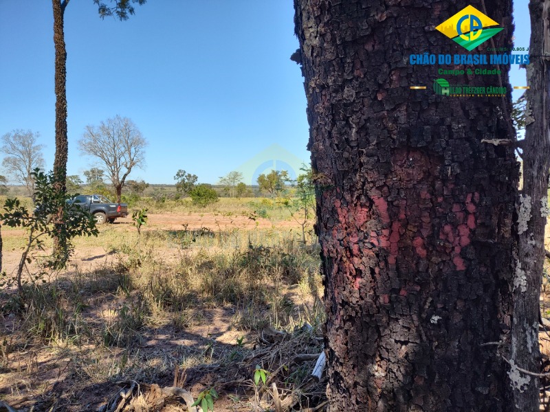 Fazenda à venda com 3 quartos - Foto 68