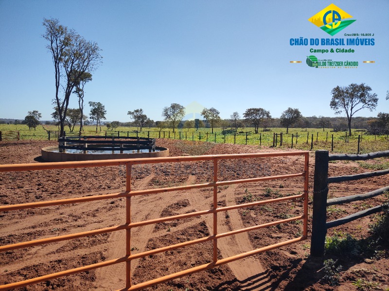 Fazenda à venda com 3 quartos - Foto 70