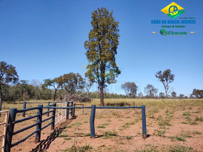 Fazenda à venda com 3 quartos - Foto 65