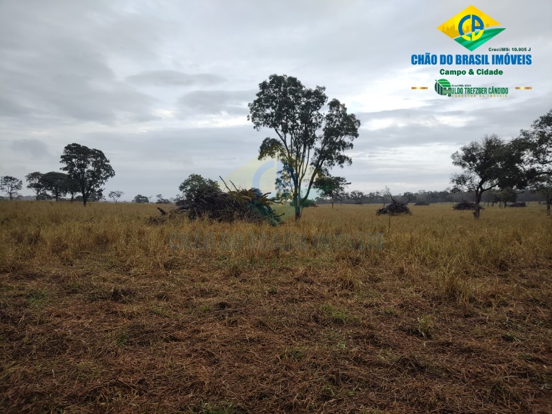 Fazenda à venda com 3 quartos - Foto 30