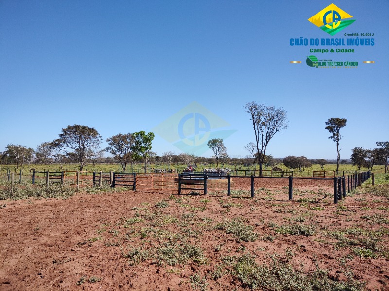 Fazenda à venda com 3 quartos - Foto 67