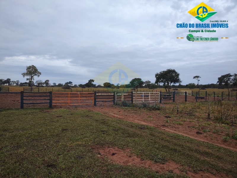 Fazenda à venda com 3 quartos - Foto 34