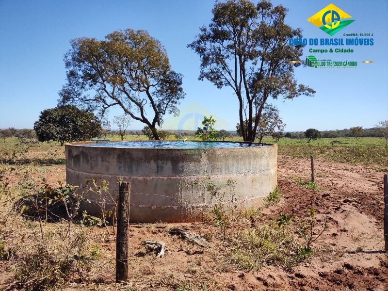 Fazenda à venda com 3 quartos - Foto 66