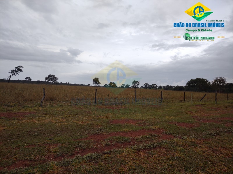 Fazenda à venda com 3 quartos - Foto 40