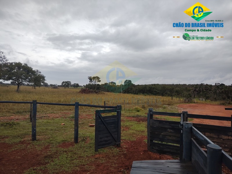 Fazenda à venda com 3 quartos - Foto 44