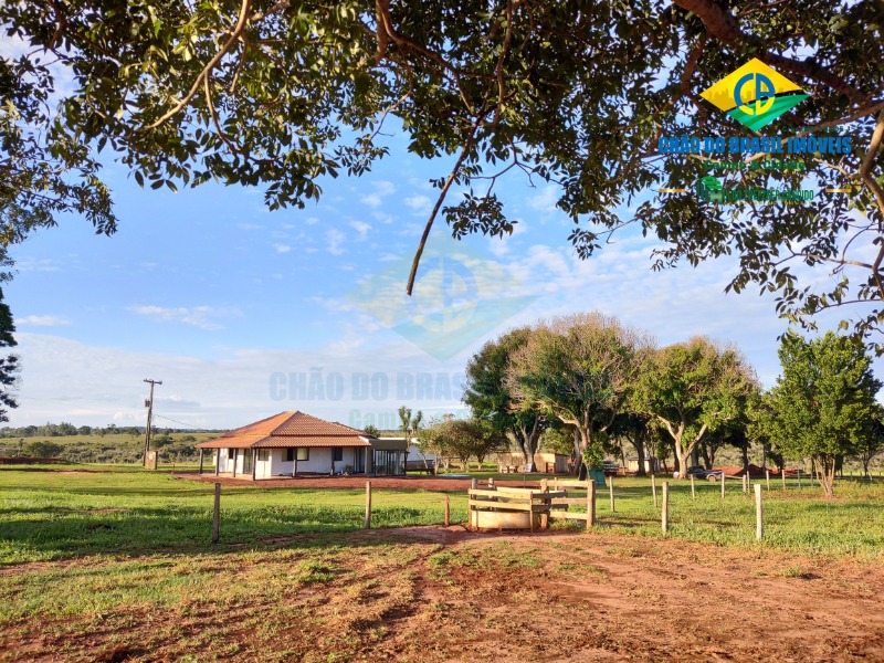 Fazenda à venda com 3 quartos - Foto 4