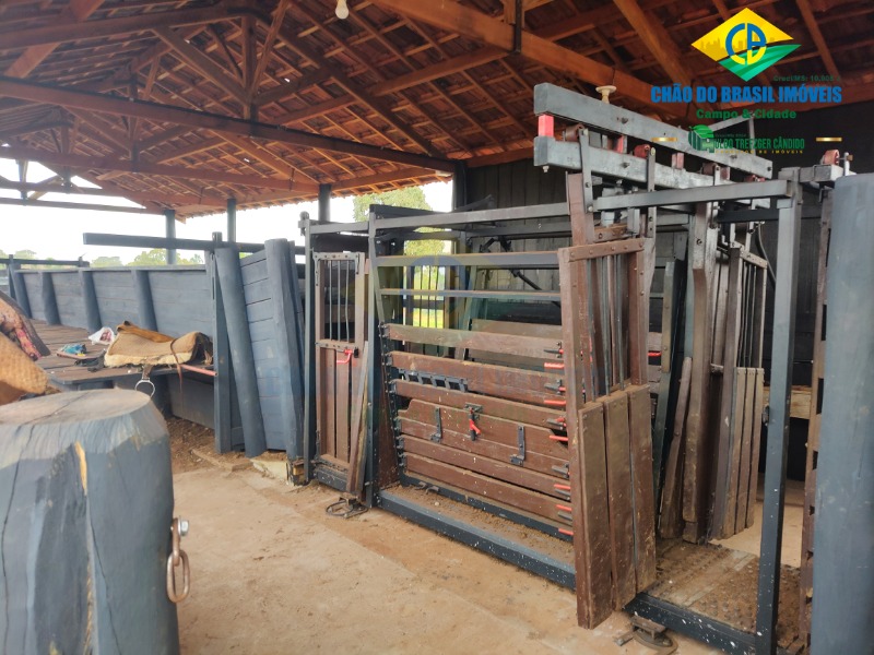 Fazenda à venda com 3 quartos - Foto 47