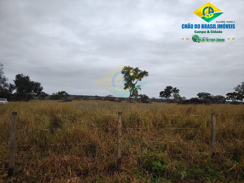 Fazenda à venda com 3 quartos - Foto 60