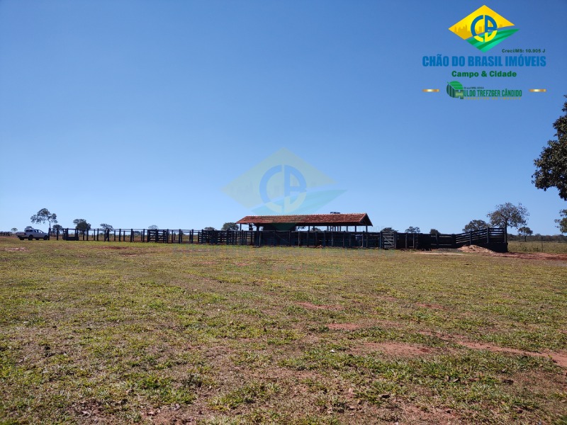 Fazenda à venda com 3 quartos - Foto 41