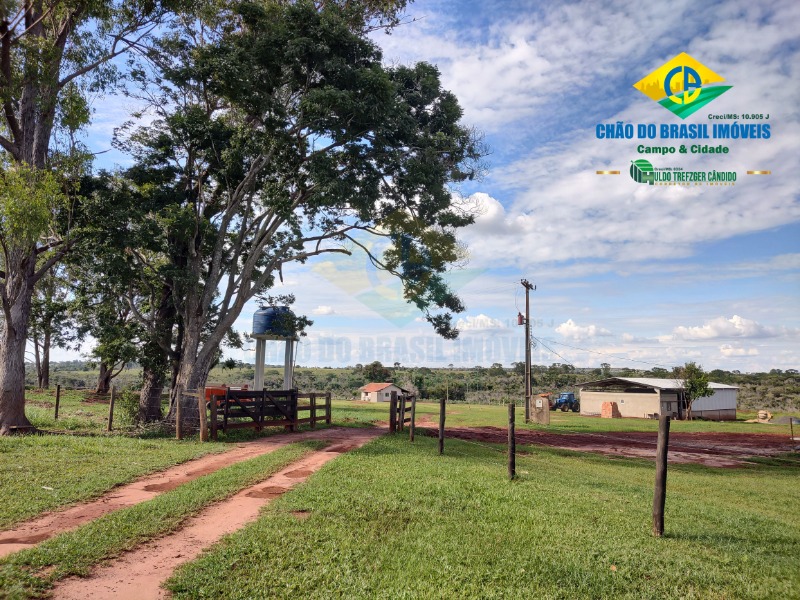 Fazenda à venda com 3 quartos - Foto 3