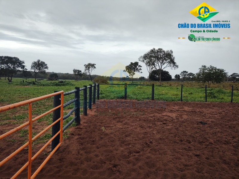 Fazenda à venda com 3 quartos - Foto 1