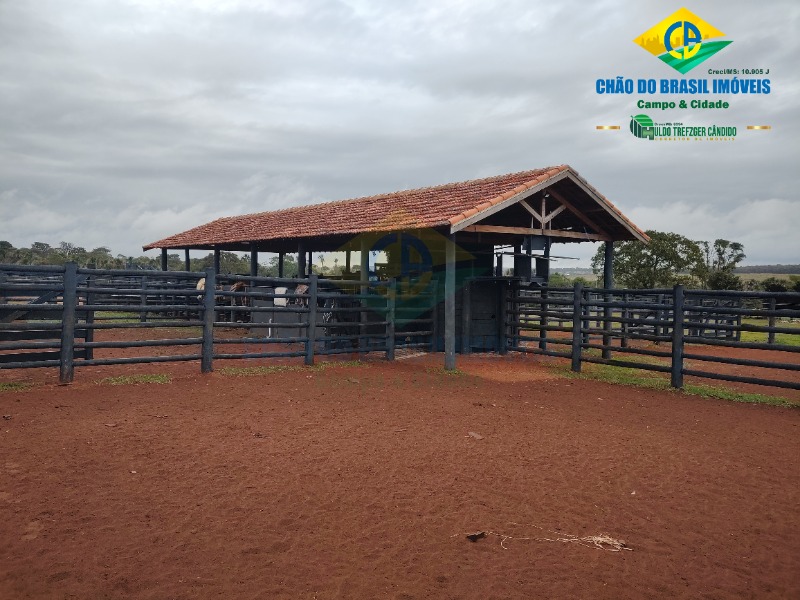 Fazenda à venda com 3 quartos - Foto 43