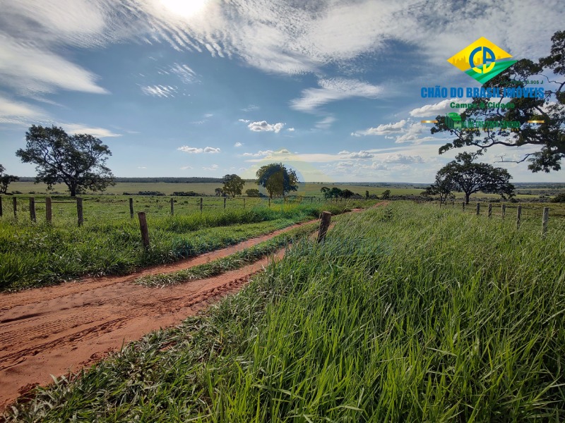 Fazenda à venda com 3 quartos - Foto 12