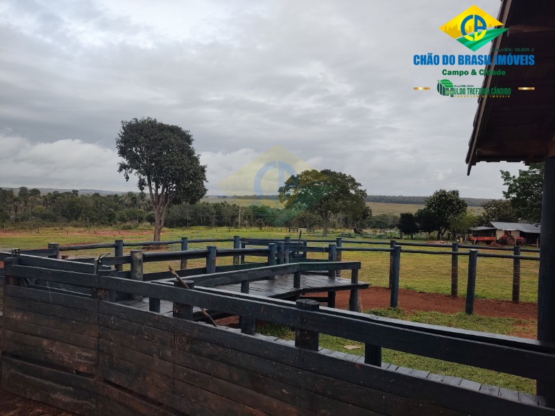 Fazenda à venda com 3 quartos - Foto 45