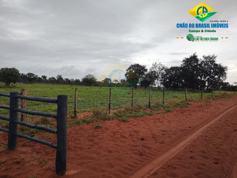 Fazenda à venda com 3 quartos - Foto 54