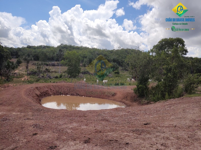 Fazenda à venda com 2 quartos - Foto 13