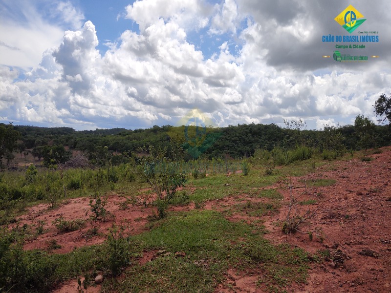 Fazenda à venda com 2 quartos - Foto 19