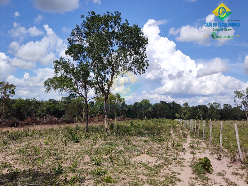 Fazenda à venda com 2 quartos - Foto 29