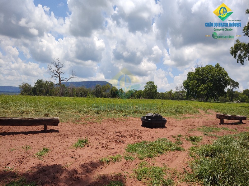 Fazenda, 1 quarto - Foto 32