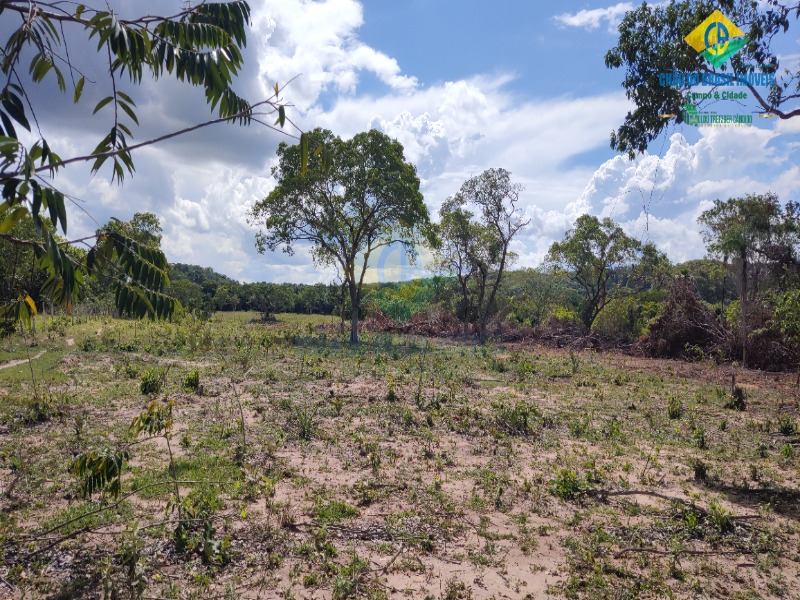 Fazenda à venda com 2 quartos - Foto 6