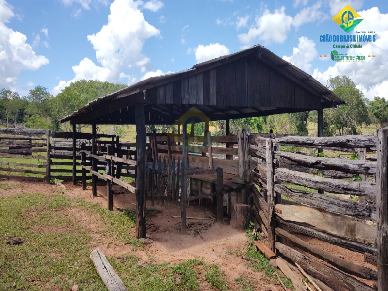 Fazenda à venda com 2 quartos - Foto 41