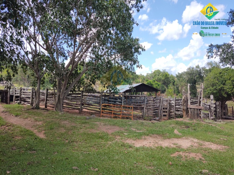 Fazenda à venda com 2 quartos - Foto 32