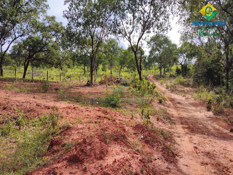 Fazenda à venda com 2 quartos - Foto 1