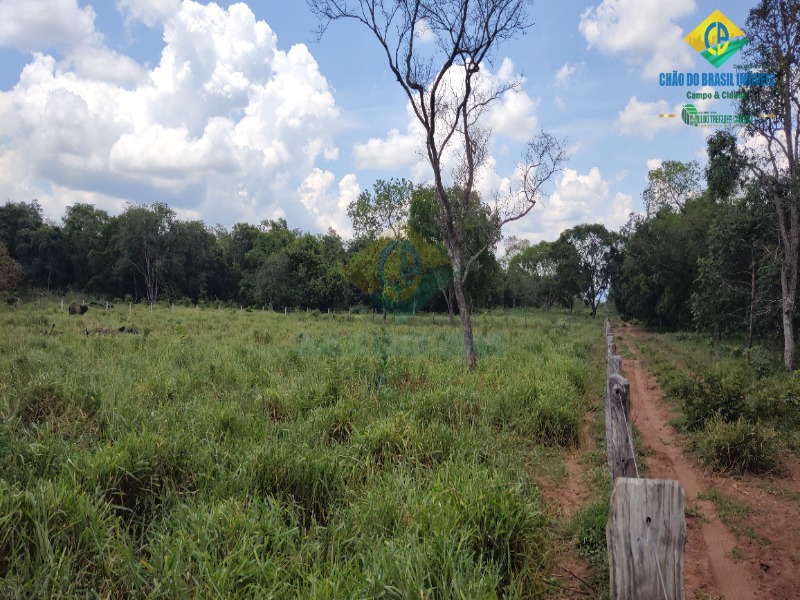 Fazenda, 1 quarto - Foto 42