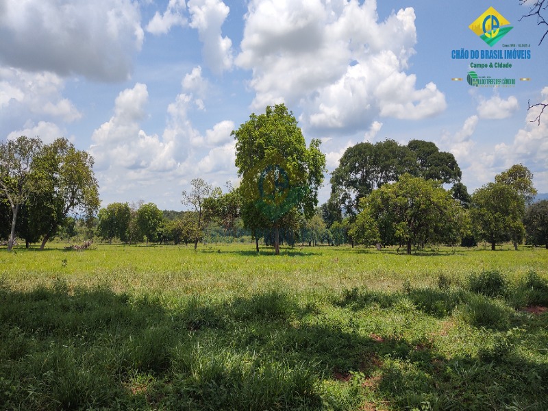 Fazenda, 1 quarto - Foto 34