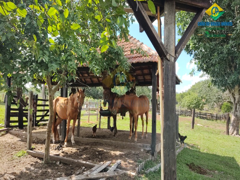 Fazenda à venda com 2 quartos - Foto 39