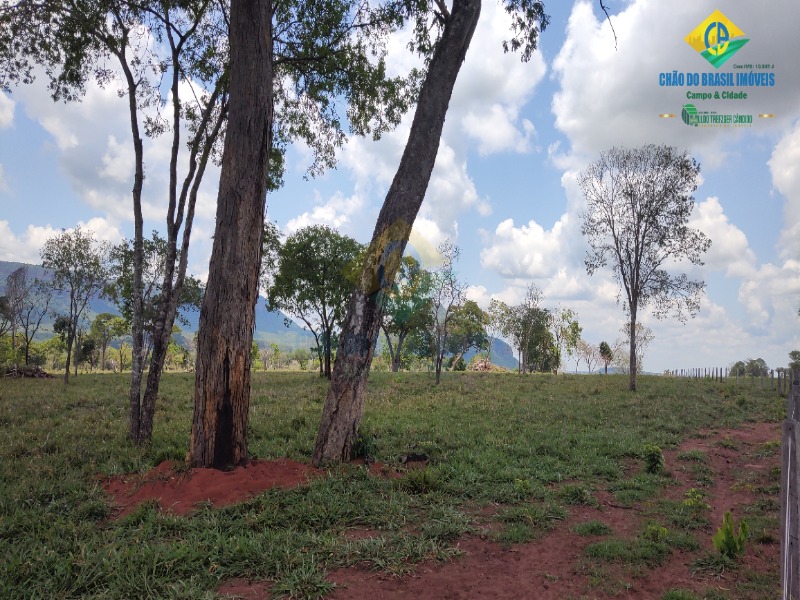 Fazenda, 1 quarto - Foto 29
