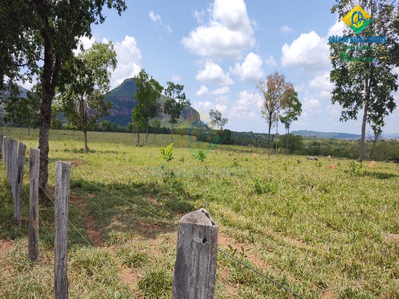 Fazenda, 1 quarto - Foto 19