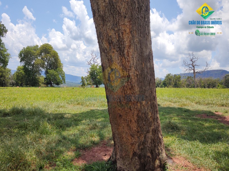 Fazenda, 1 quarto - Foto 1