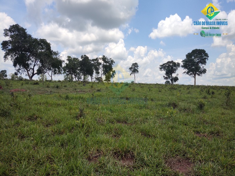 Fazenda, 1 quarto - Foto 27