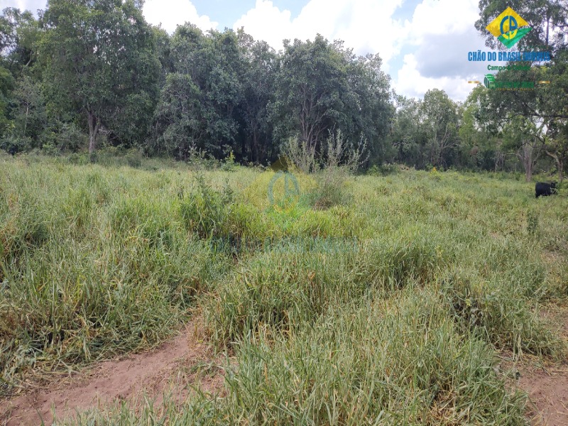 Fazenda, 1 quarto - Foto 40